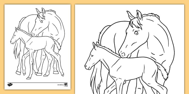 Mother and Baby Horse Coloring Sheet | Resource | Twinkl USA