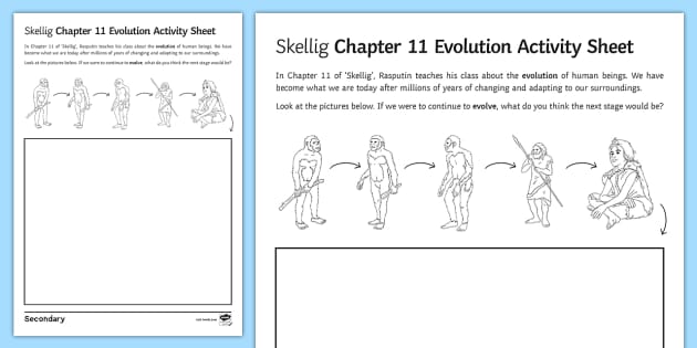 Skellig Chapter 11 Evolution Worksheet Twinkl