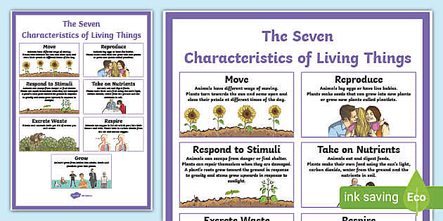 Living things - Definition, Characteristics and Examples