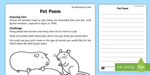Pets Acrostic Poem Worksheet Worksheet Teacher Made