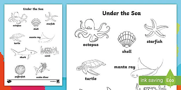 FREE! - Baby Sea Animals Colouring Page - EYLF - Parents