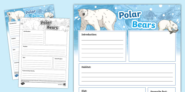 Polar Bears Non-Chronological Report Template (teacher made)