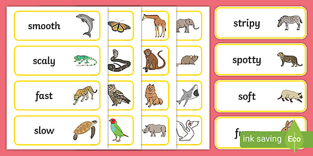 Animal Adjectives Word Cards | Adjective Examples - Twinkl