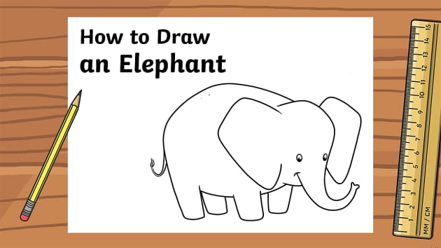 How to Draw an Elephant Animation - Twinkl