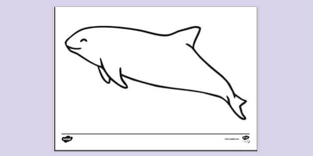FREE! - Porpoise Colouring Sheet | Colouring Sheets - Twinkl