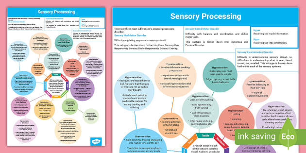 Sensory Processing Guidance & Overview (teacher Made)