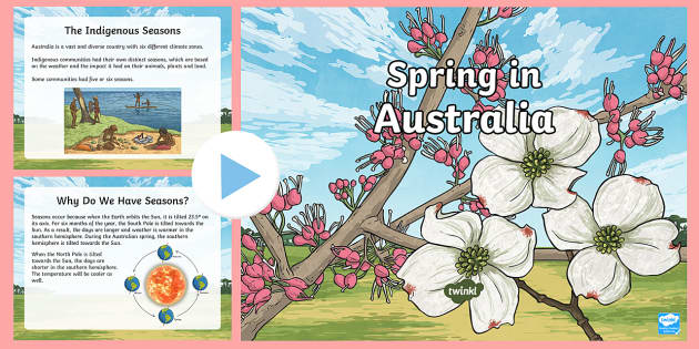 3-6 Spring in Australia PowerPoint (teacher made) - Twinkl