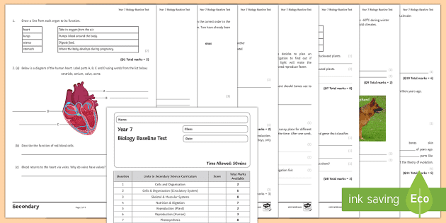 secondary science ks3 baseline assessment pack beyond