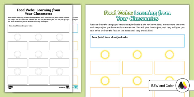 Food Webs: Learning from Your Classmates Worksheet Biology Diagrams