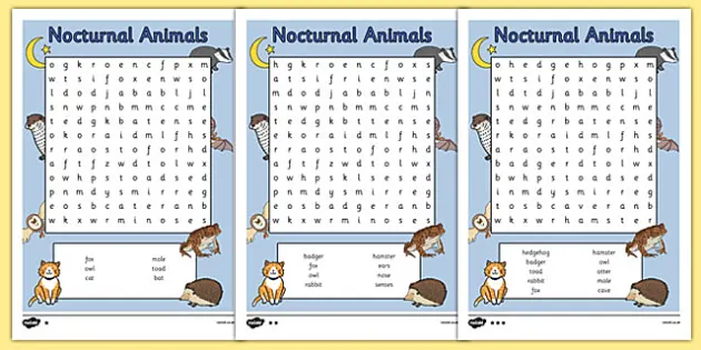Nocturnal Animals Word Search Ks1 Primary Resources