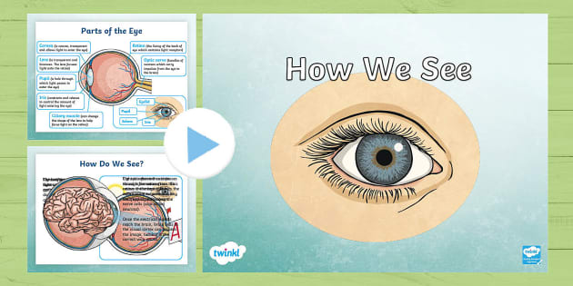 How We See PowerPoint (teacher made) - Twinkl