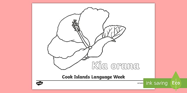 Cook Island Language Week Hibiscus Colouring Page