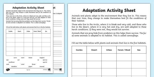 Adaptation Worksheet Research Activity (teacher made)