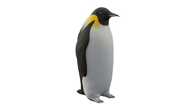 3D Model: Birds - Emperor Penguin (Teacher Made) - Twinkl