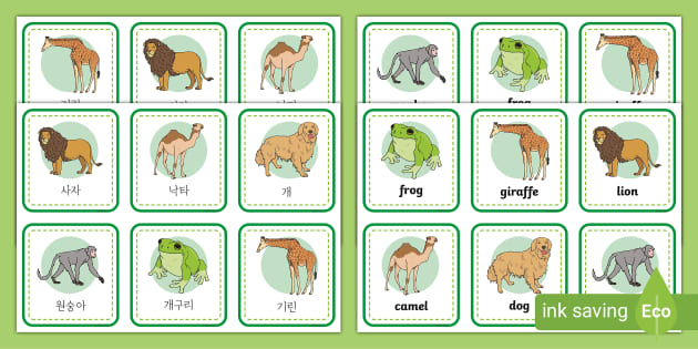 동물원에 사는 동물들 매칭 게임 Zoo Animals Matching Cards (Korean & English)
