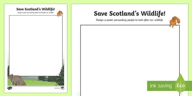 Save Wildlife in Scotland Poster Template (teacher made)