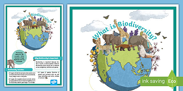 Informational Biodiversity Poster (teacher made) - Twinkl