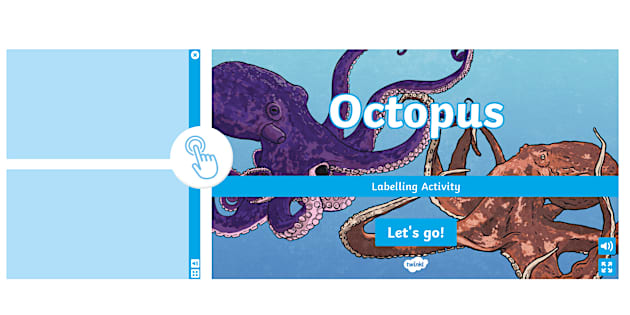 Octopus Interactive Labelling Activity (teacher made)