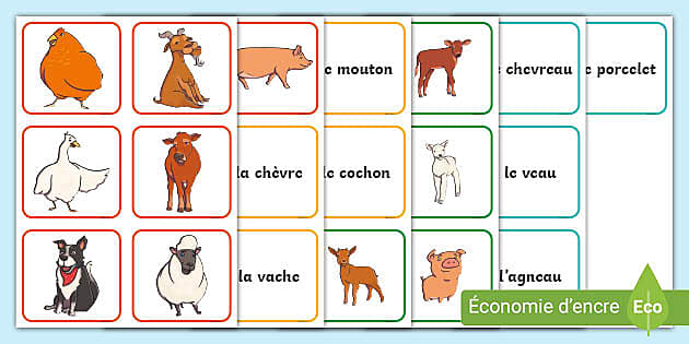 Jeu de cartes flash Montessori en 2 langues