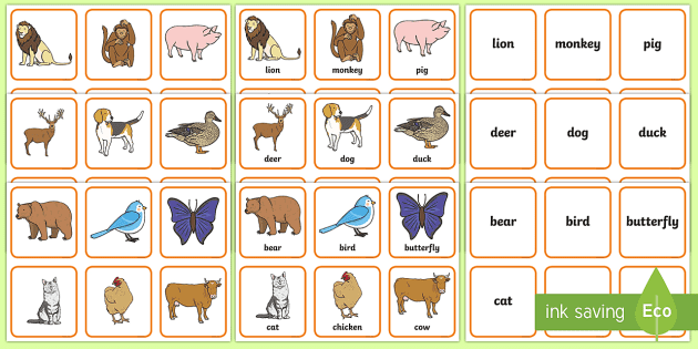 Animals Matching Cards (teacher made) - Twinkl