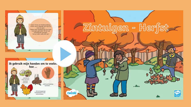 Zintuigen Powerpoint Herfst Teacher Made Twinkl