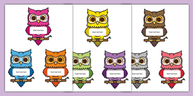 Owl Cutouts With Editable Name Labels (Teacher-Made)