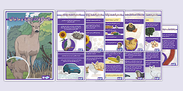 بوستر: المخلوقات الحية وحاجاتها - علوم الصف الثاني الابتدائي