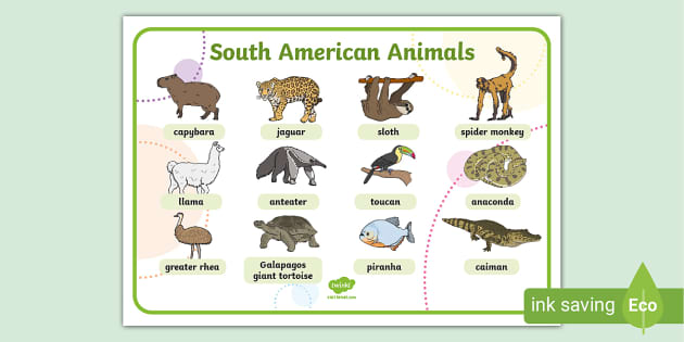 South American Animals Word Mat (teacher made) - Twinkl