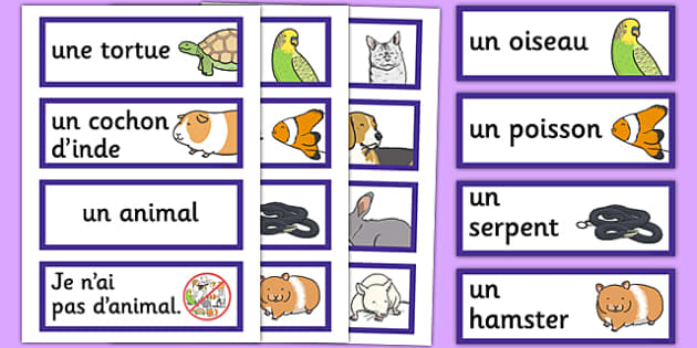 french-pets-word-cards-teacher-made-twinkl