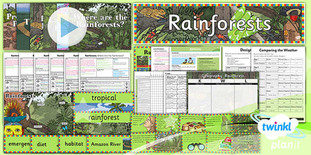 rainforest homework year 3