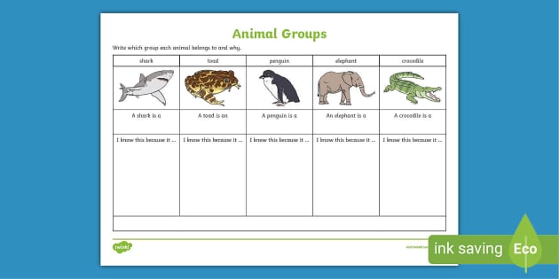 Animal Group Worksheet - Science Resource (teacher made)