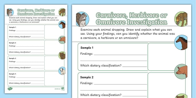 Carnivore Herbivore Or Omnivore Investigation Worksheet Carnivore Herbivore Or Omnivore Investigation Worksheet