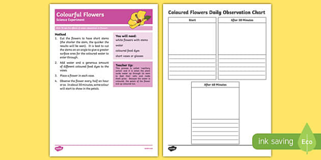 colour changing flower experiment worksheet