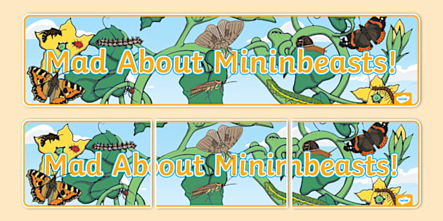 Mad About Minibeasts! Display Banner (teacher made) - Twinkl