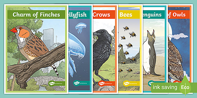 Collective Nouns Animal Posters (teacher made) - Twinkl