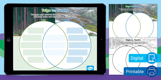 Taiga Vs. Tundra Compare Contrast Activity For 6th-8th Grade