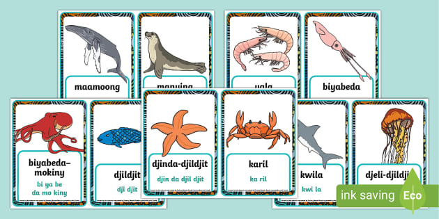 ocean-animal-picture-cards-in-noongar-language-twinkl