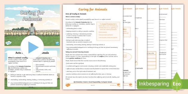 Caring for Animals Powerpoint & Activity - Twinkl