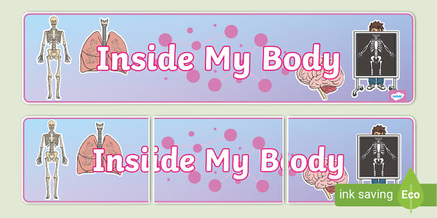 Inside My Body Display Banner Teacher Made Twinkl