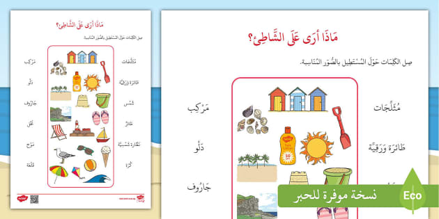 أنشطة عطلة الصيف ورقة عمل اقرأ وصل ماذا ترى على الشاطئ