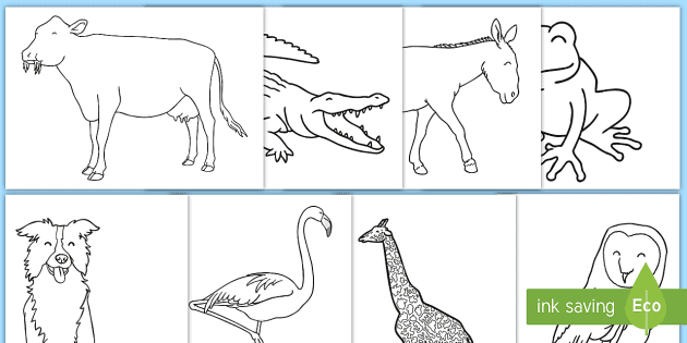 Animal Pictures To Colour In For Kids Ks1 Colouring Sheets