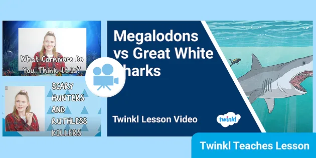 Megalodon Vs. Great White Shark