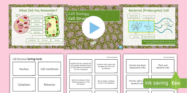 Biology Week Cell Structure Lesson PowerPoint (teacher made)