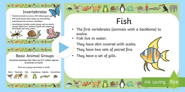 KS1 Animals PowerPoint - Animal Classification - Resources