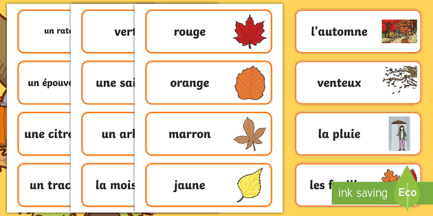 Cartes De Vocabulaire Sur L Automne Teacher Made