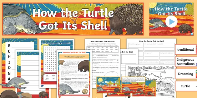 How the turtle got its shell