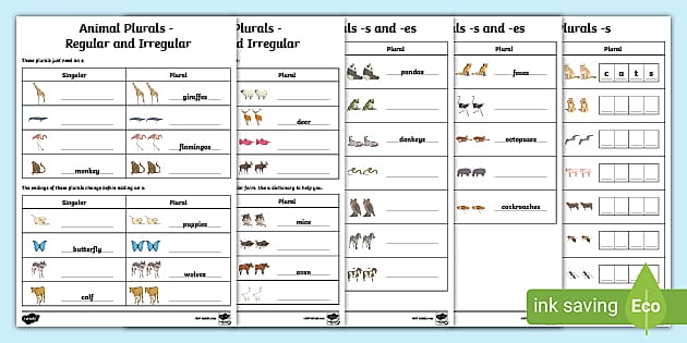 Animal Plurals Differentiated Worksheets (Teacher-Made)