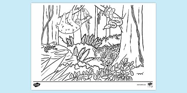 FREE! - Save the Rainforest Colouring Page | Colouring Sheets