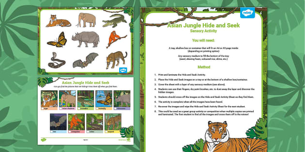 Asian Jungle 'Hide and Seek' Sensory Activity (teacher made)