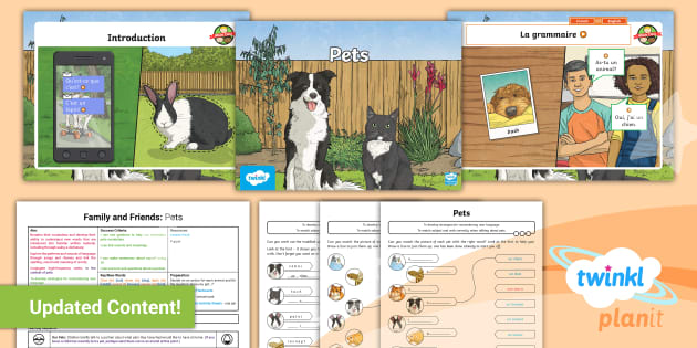 French Family And Friends Pets Year 3 Lesson Pack 2